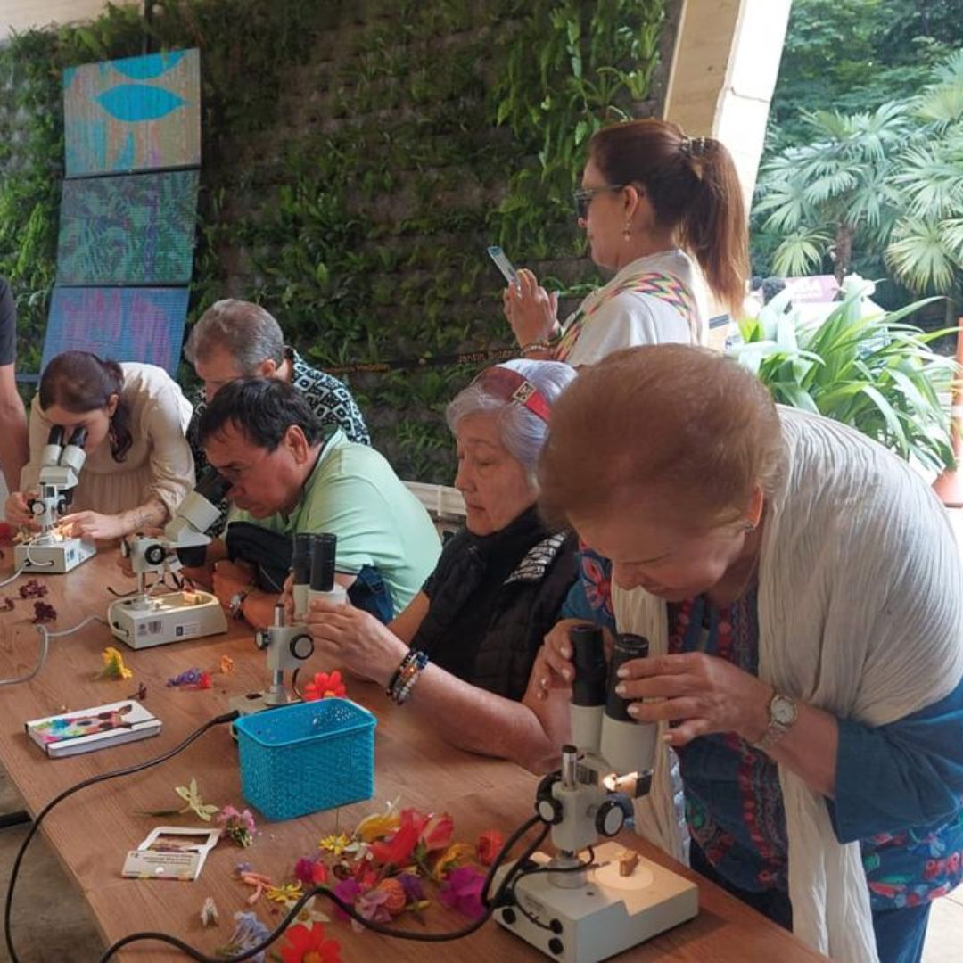 Imagen de Recorrido biodiverso | Las flores y su polen