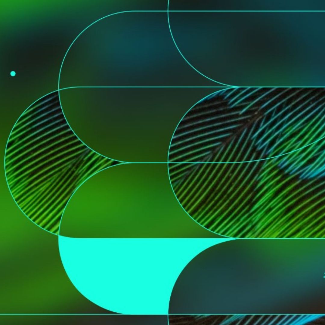 Imagen de Taller | Las formas de la naturaleza