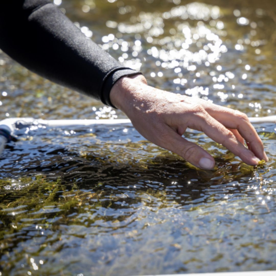 Imagen de Panel | Estrategias conjuntas para el cuidado del agua
