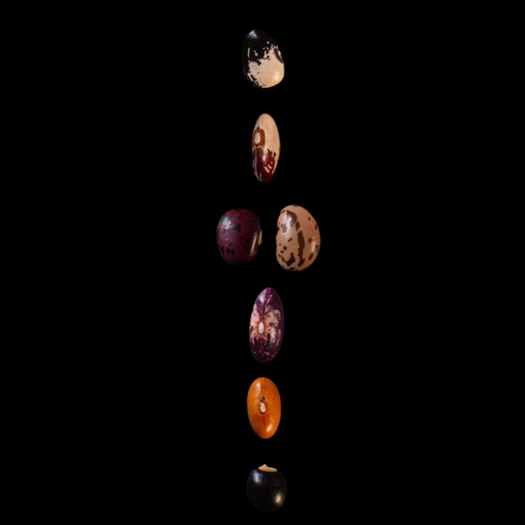 Imagen de Taller | Semillas