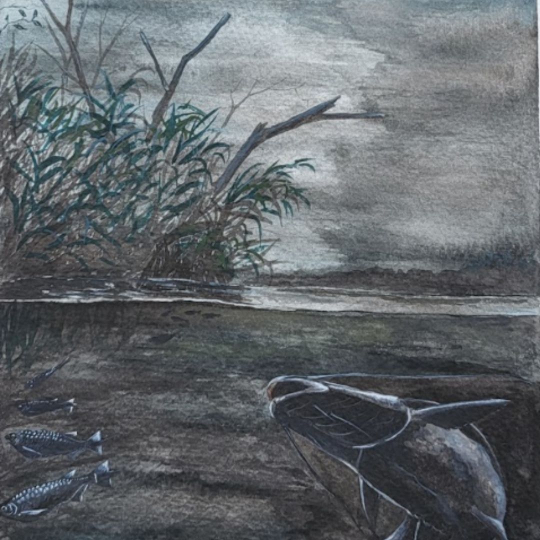 Imagen de Conferencia | La Amazonía ilustrada: las memorias del río