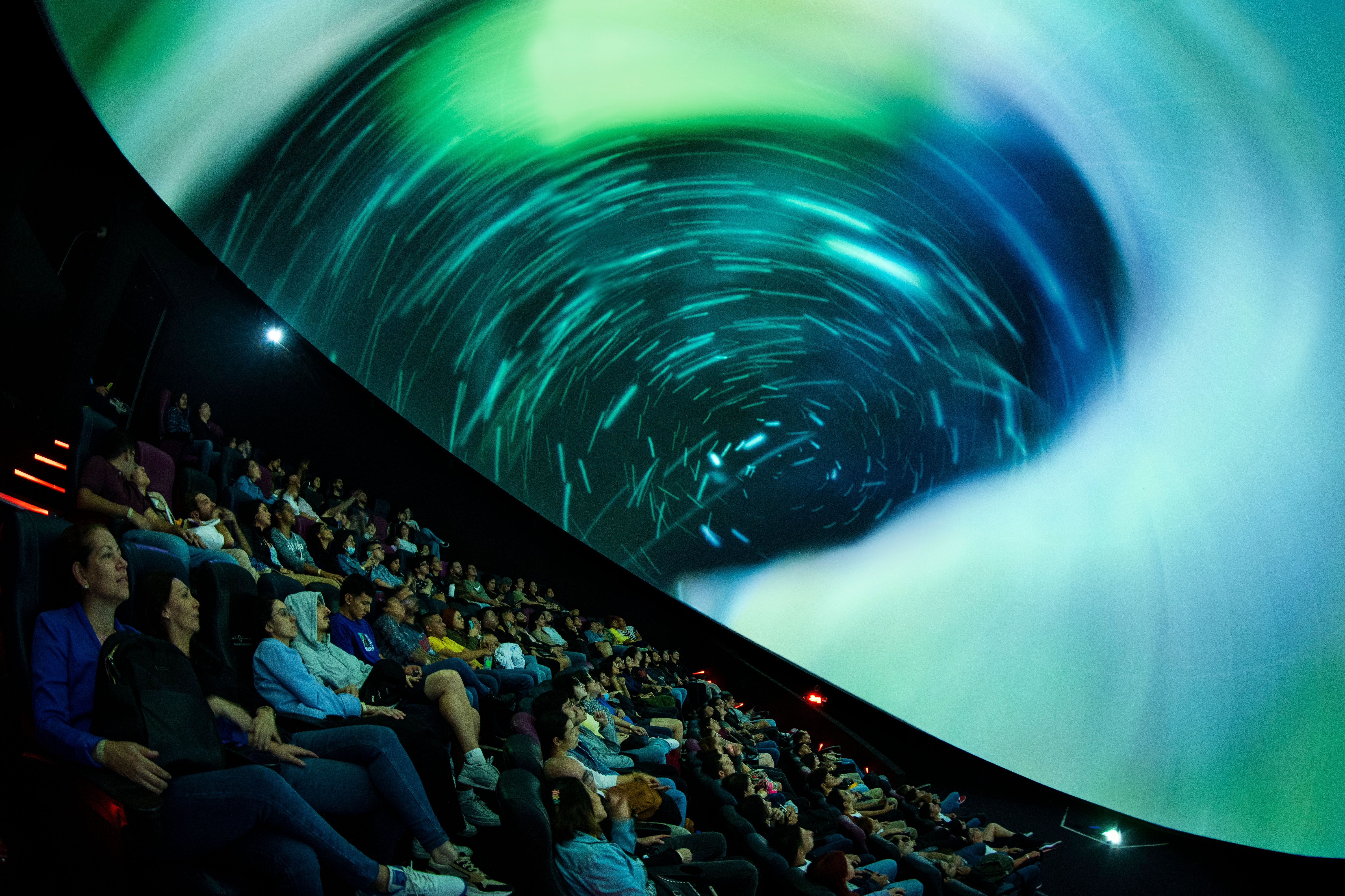 Imagen de Proyección | DomoArte | Coexistencias interespecie