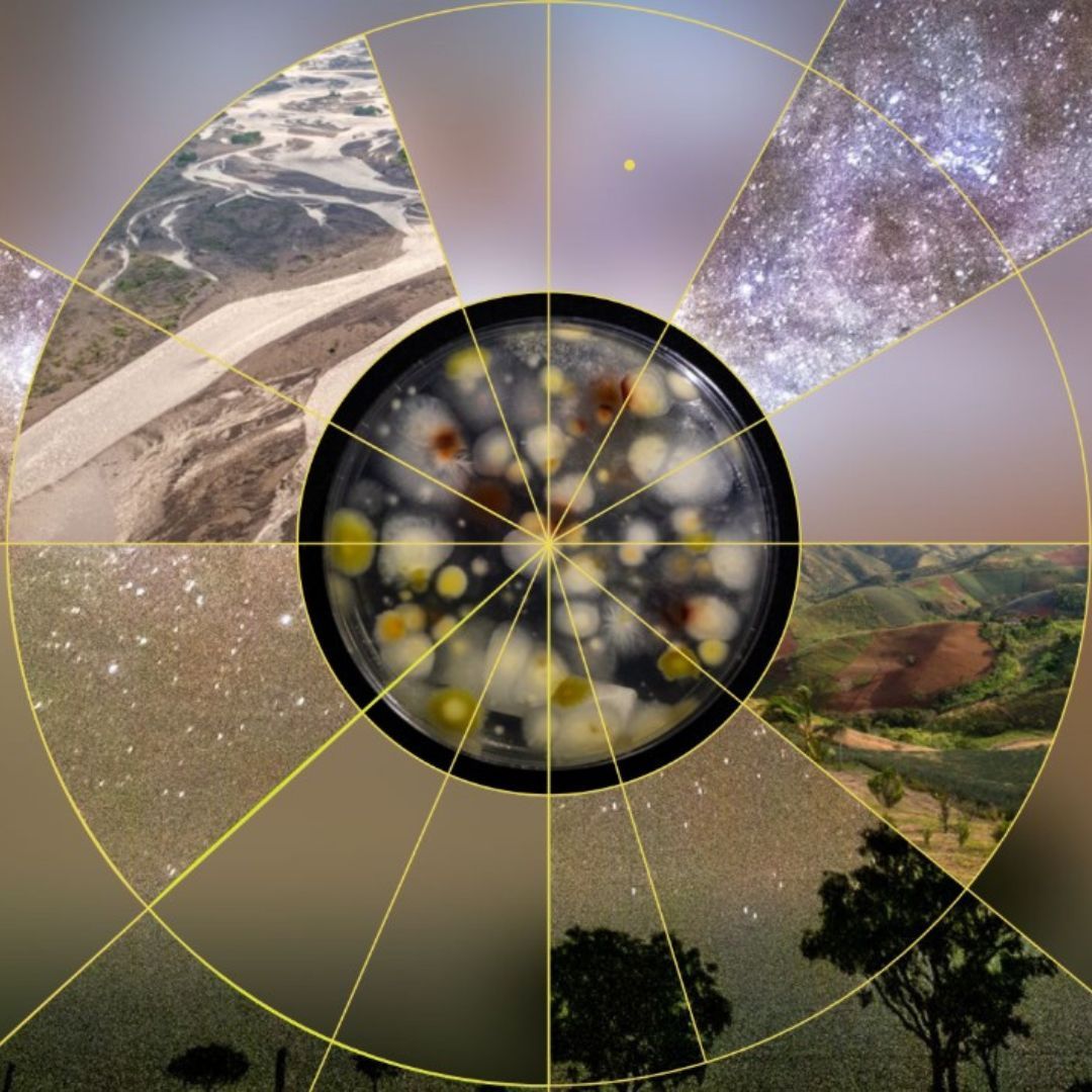 Imagen de Taller | Límites Planetarios