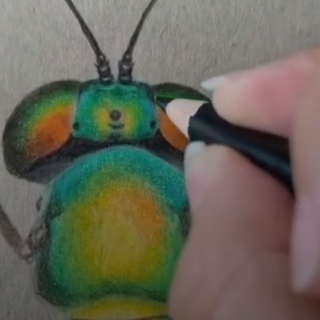 Imagen de Taller | Otros vuelos, otras flores