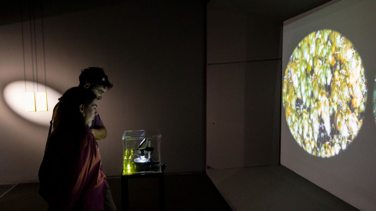 Eco existencias Arte, ciencia y tecnologías en la Zona Norte de Medellín