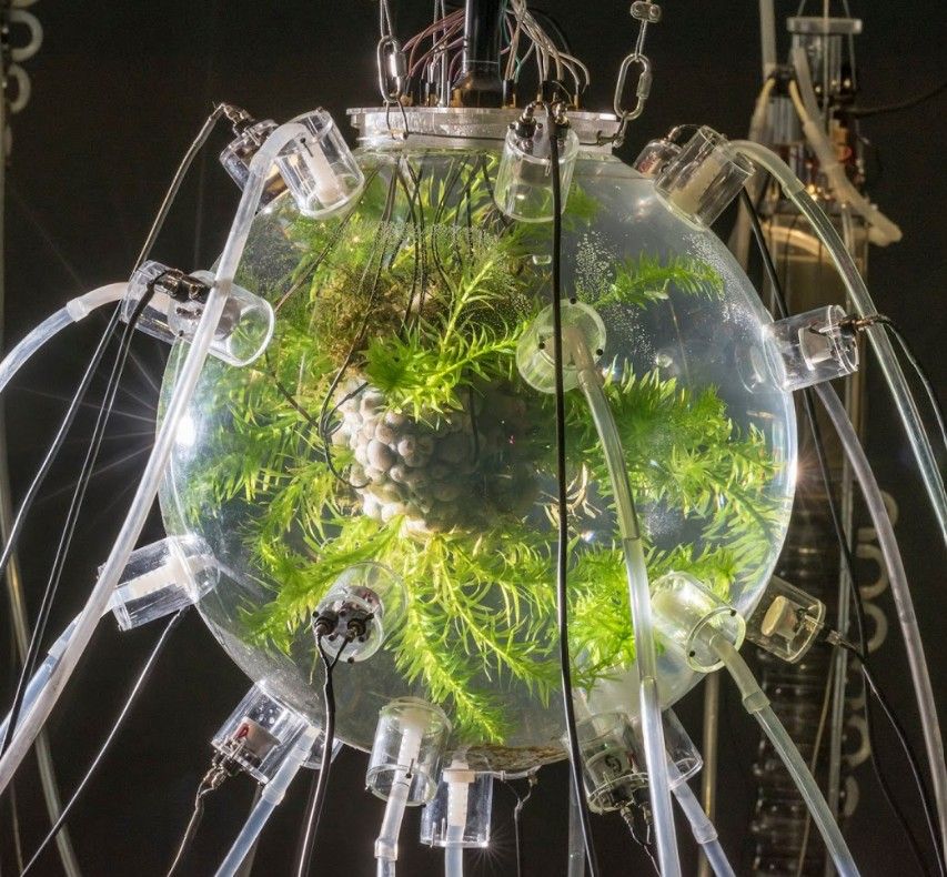 Exposición | eco existencias