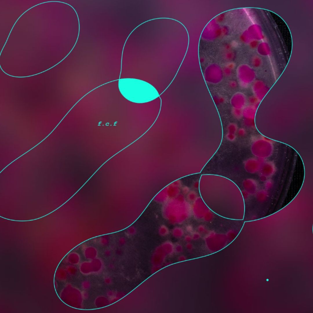 Imagen de Taller | Futuros de ciencia y ficción