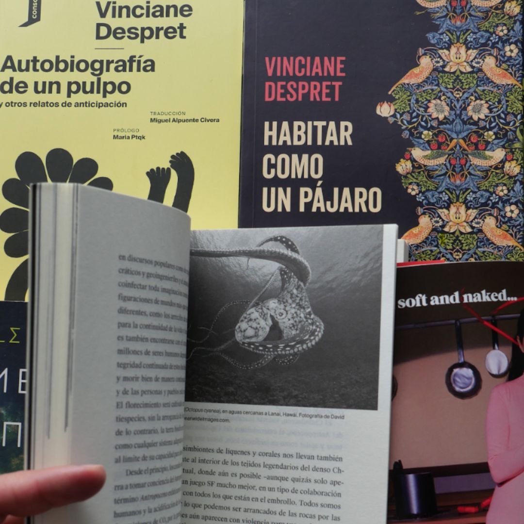 Imagen de Laboratorio | Soñar otros sueños | Sesión 2