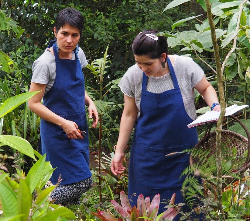 Photo of MIRTO TINTO | Colombia