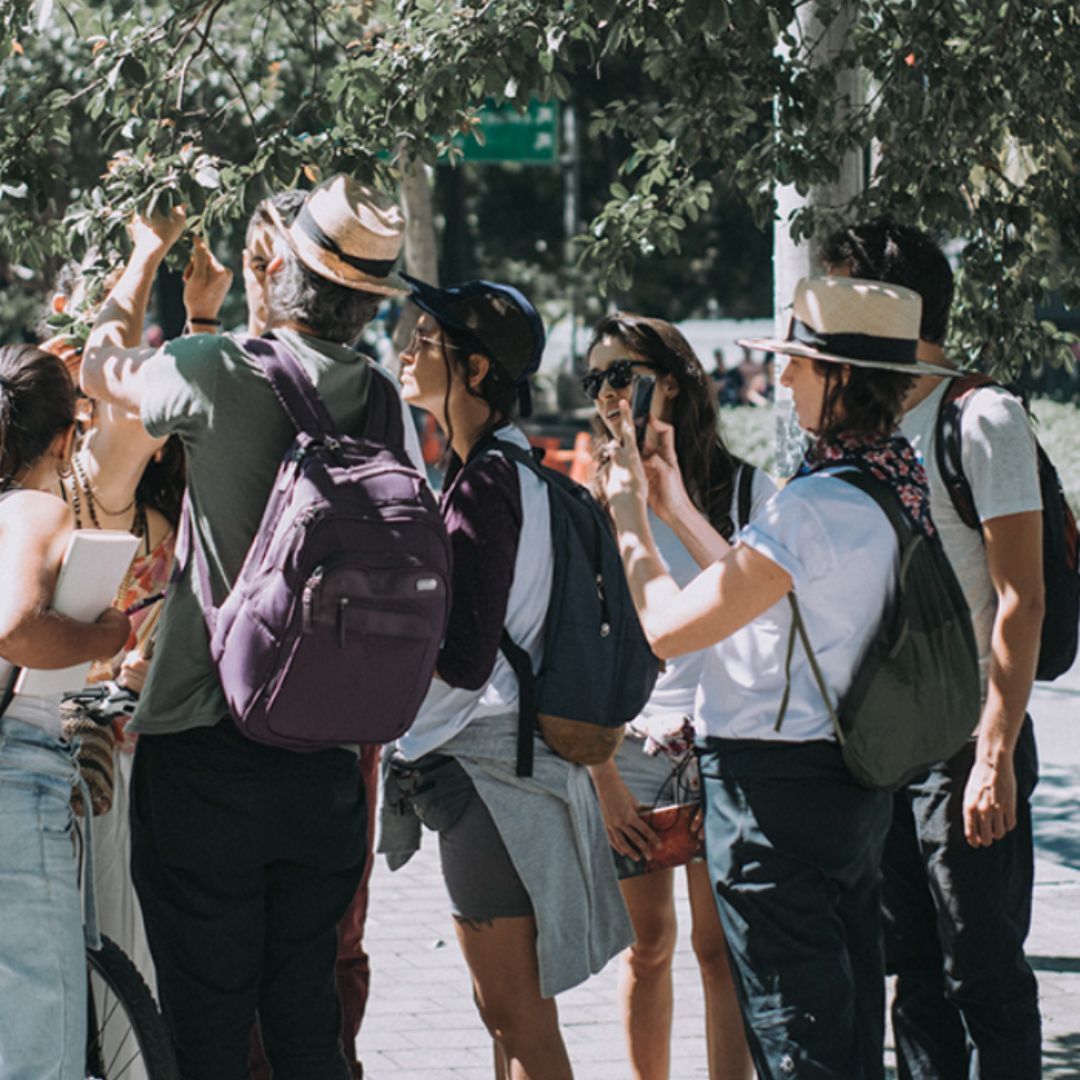 Imagen de Recorrido biodiverso | La Savia