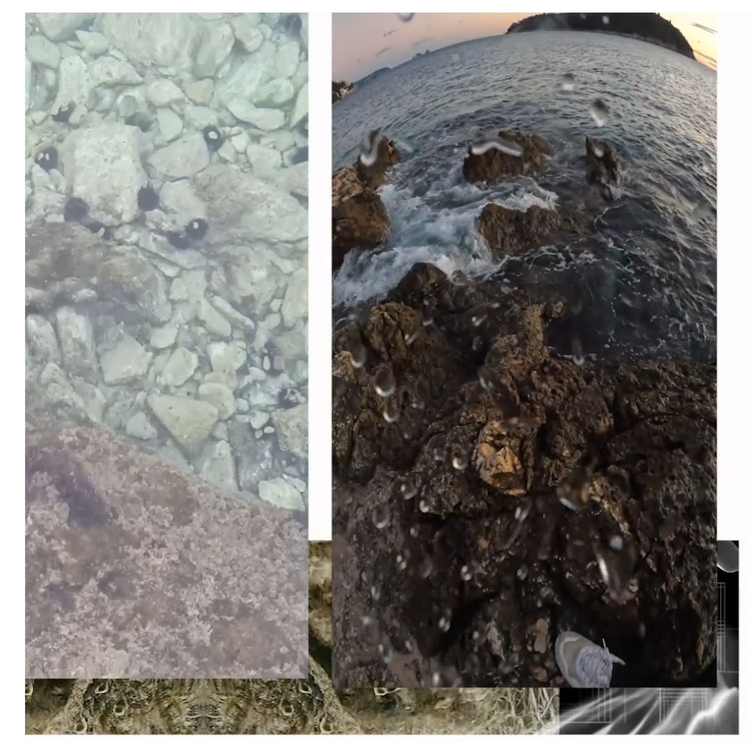 Imagen de Conferencia | Interfaces oceánicas: arte, ciencia y futuros submarinos