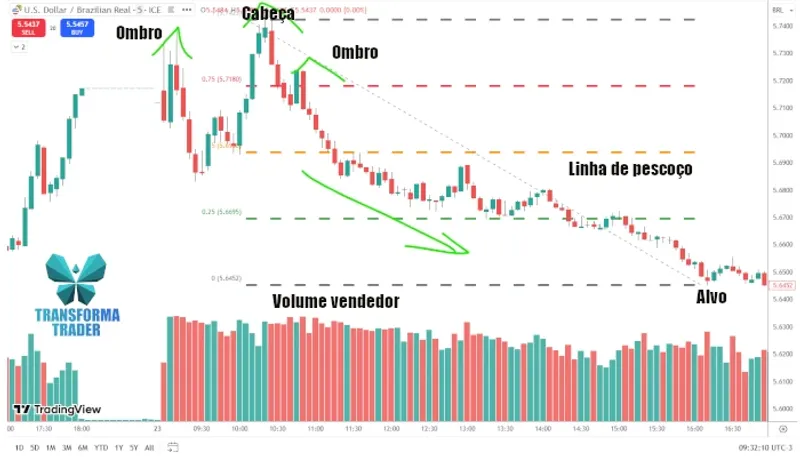 OCO real no dólar x real