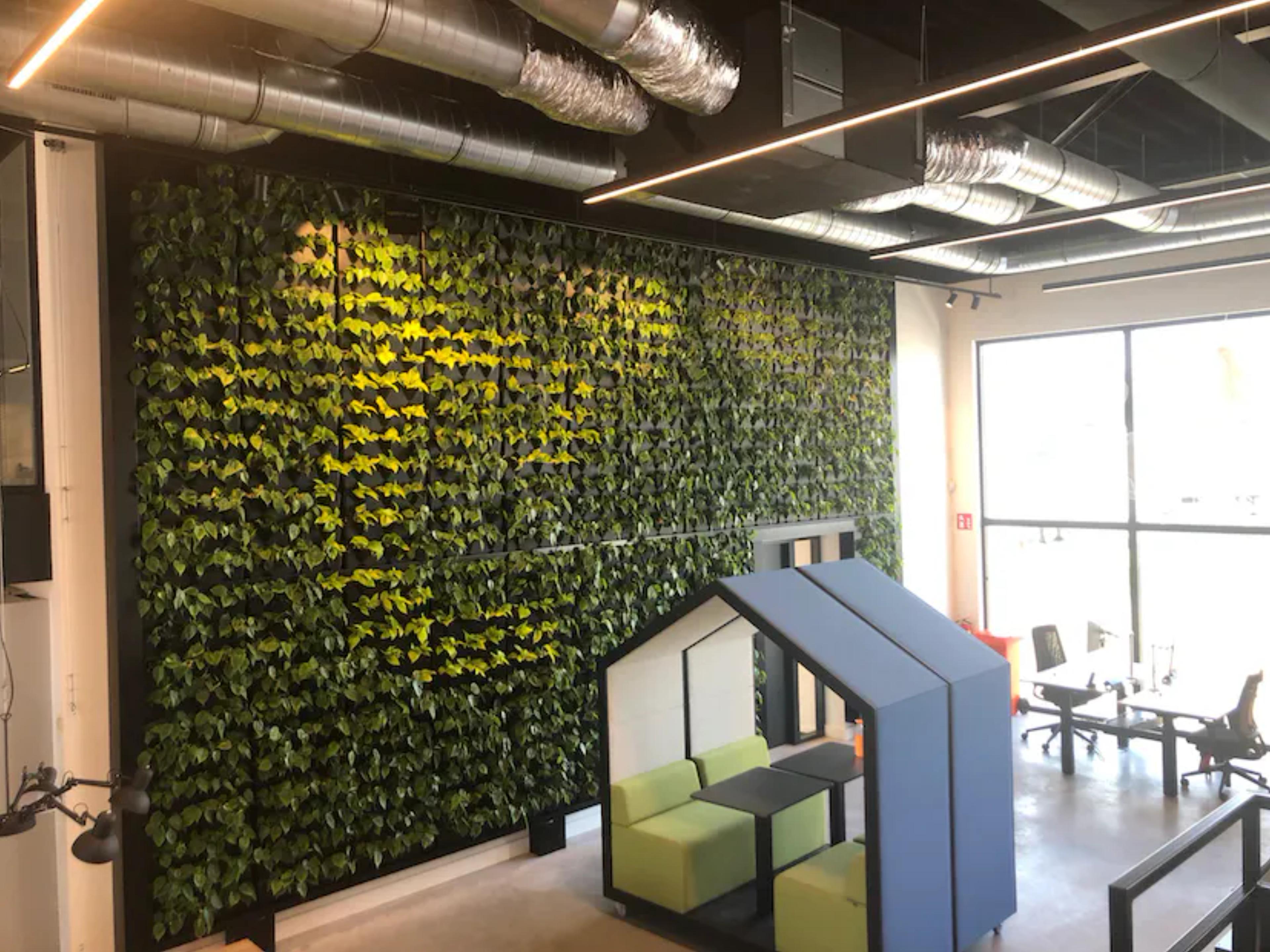 grüne-wand-nachhaltigkeit-produktives-arbeiten