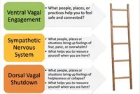 The Polyvagal Theory: The New Science of Safety