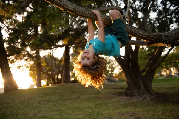 How Risky Play is Essential to Children’s Developmental, Physical, Mental and Emotional Wellbeing