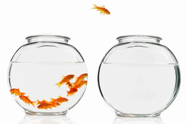 Making the change to a Whole School Approach