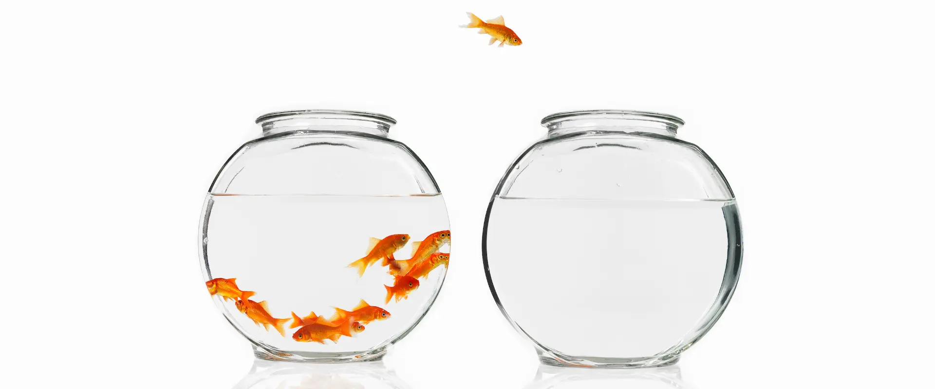 Making the change to a Whole School Approach