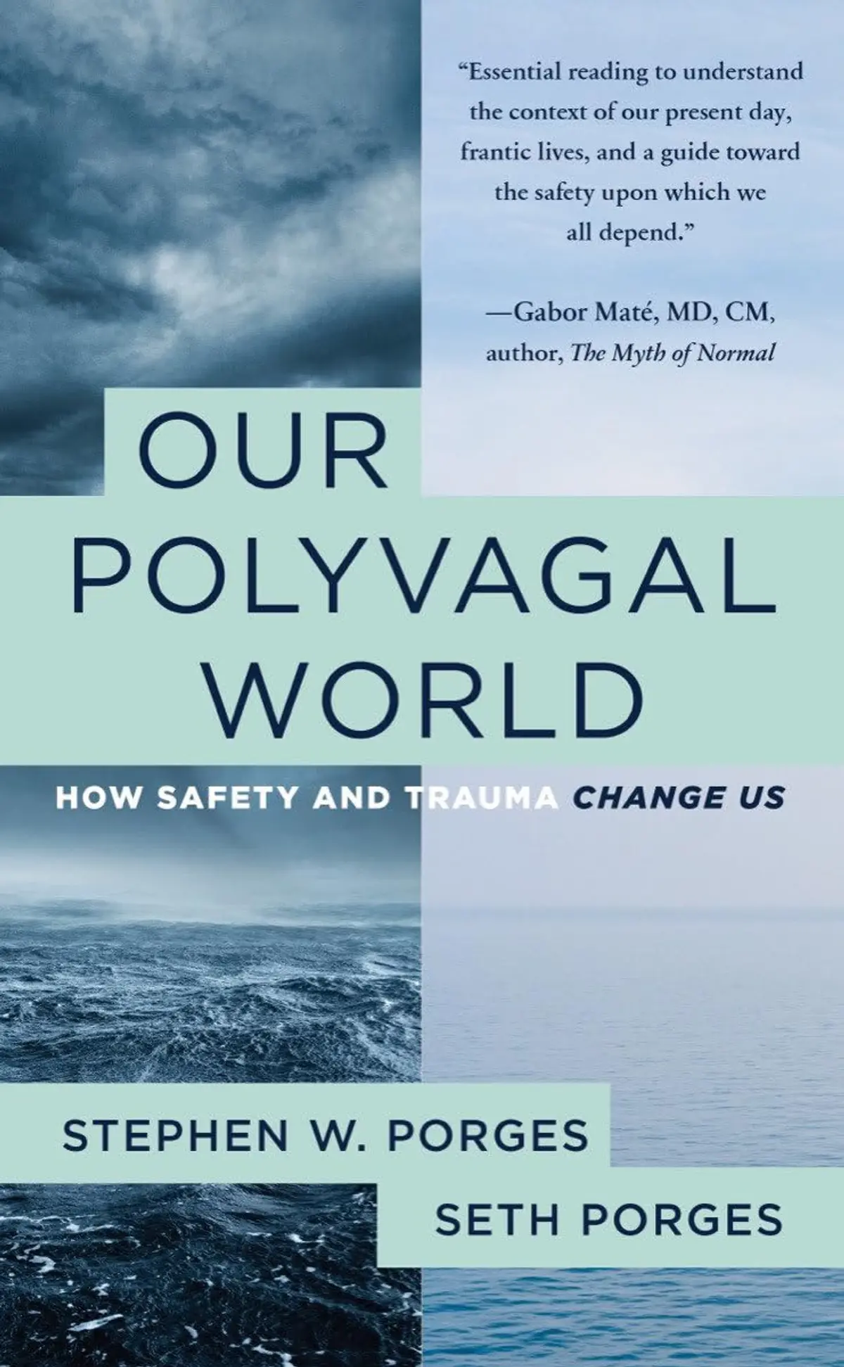 Preview image of Our Polyvagal World