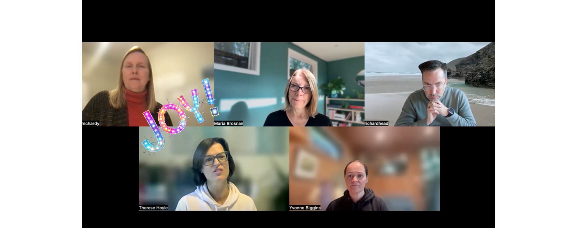 Deliberate Joy: Unlocking a Hidden Wellbeing Superpower 