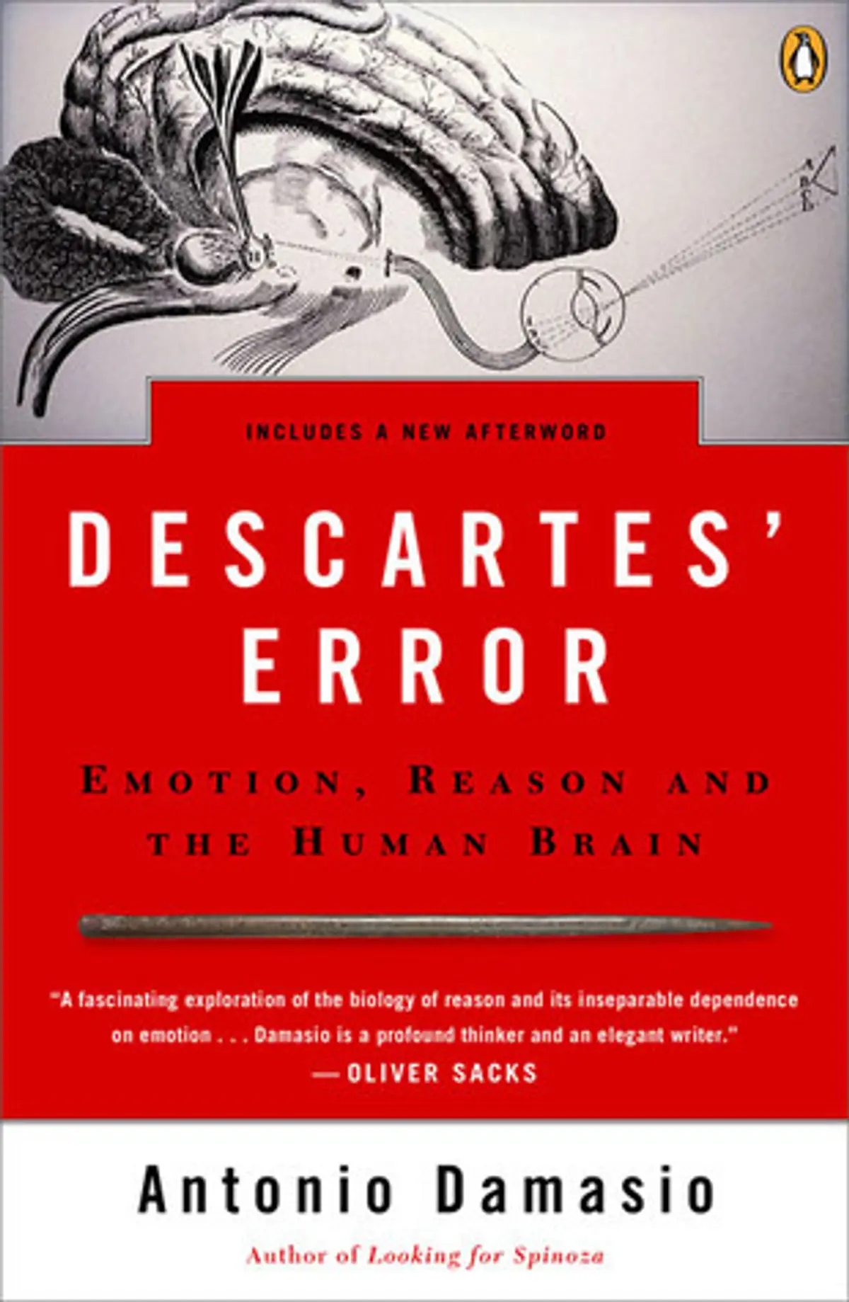 Preview image of Descarte's Error
