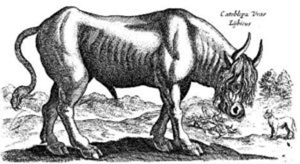 06_03_gb