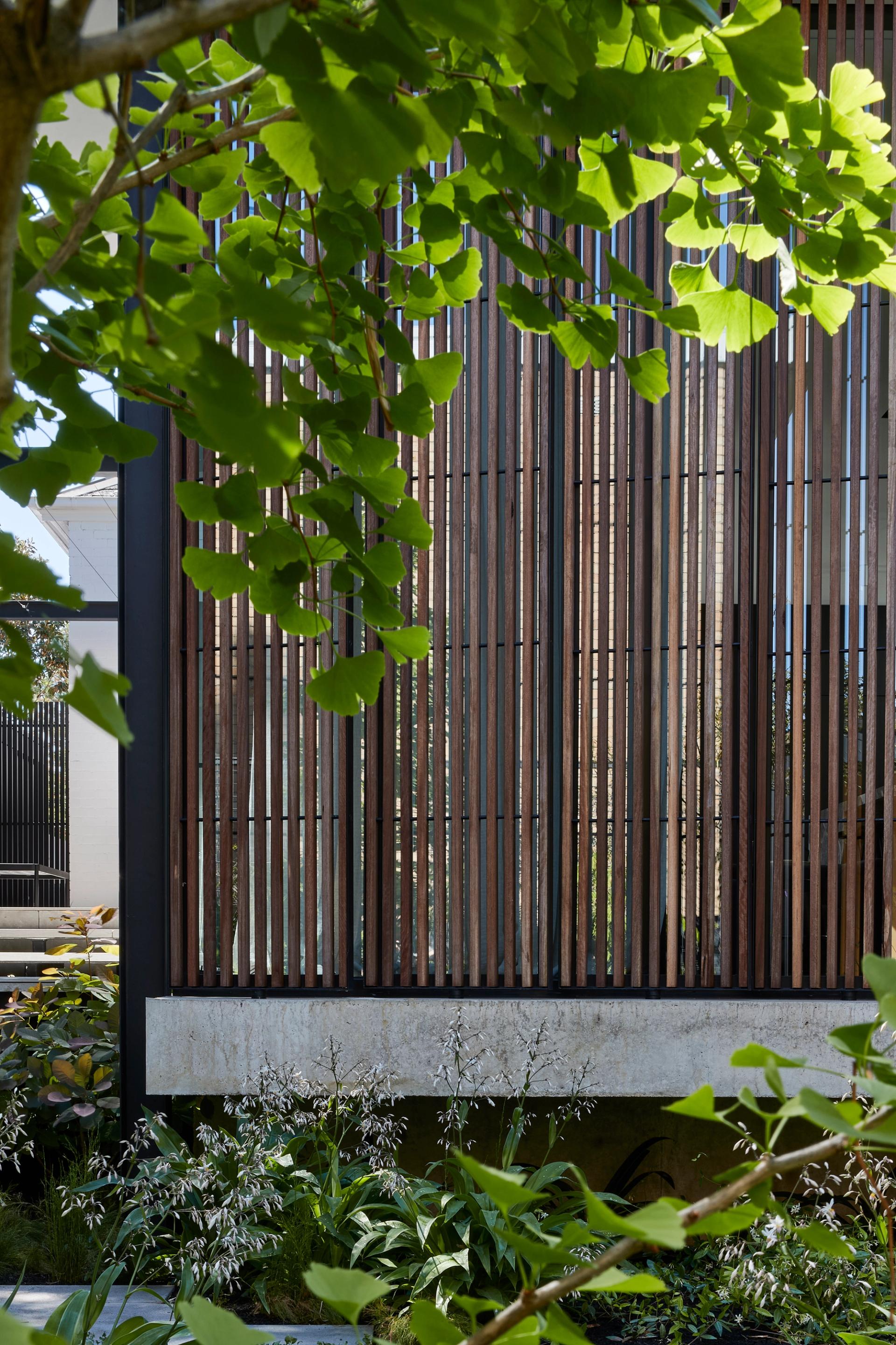 Pivoting timber screens define the renovation and offer privacy from neighbours.