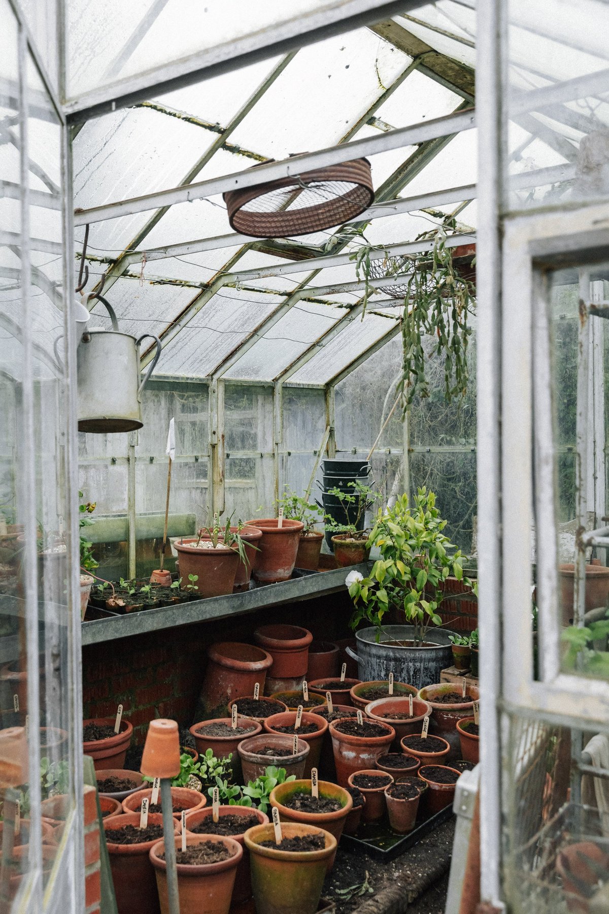 Moorways Greenhouse post thumbnail