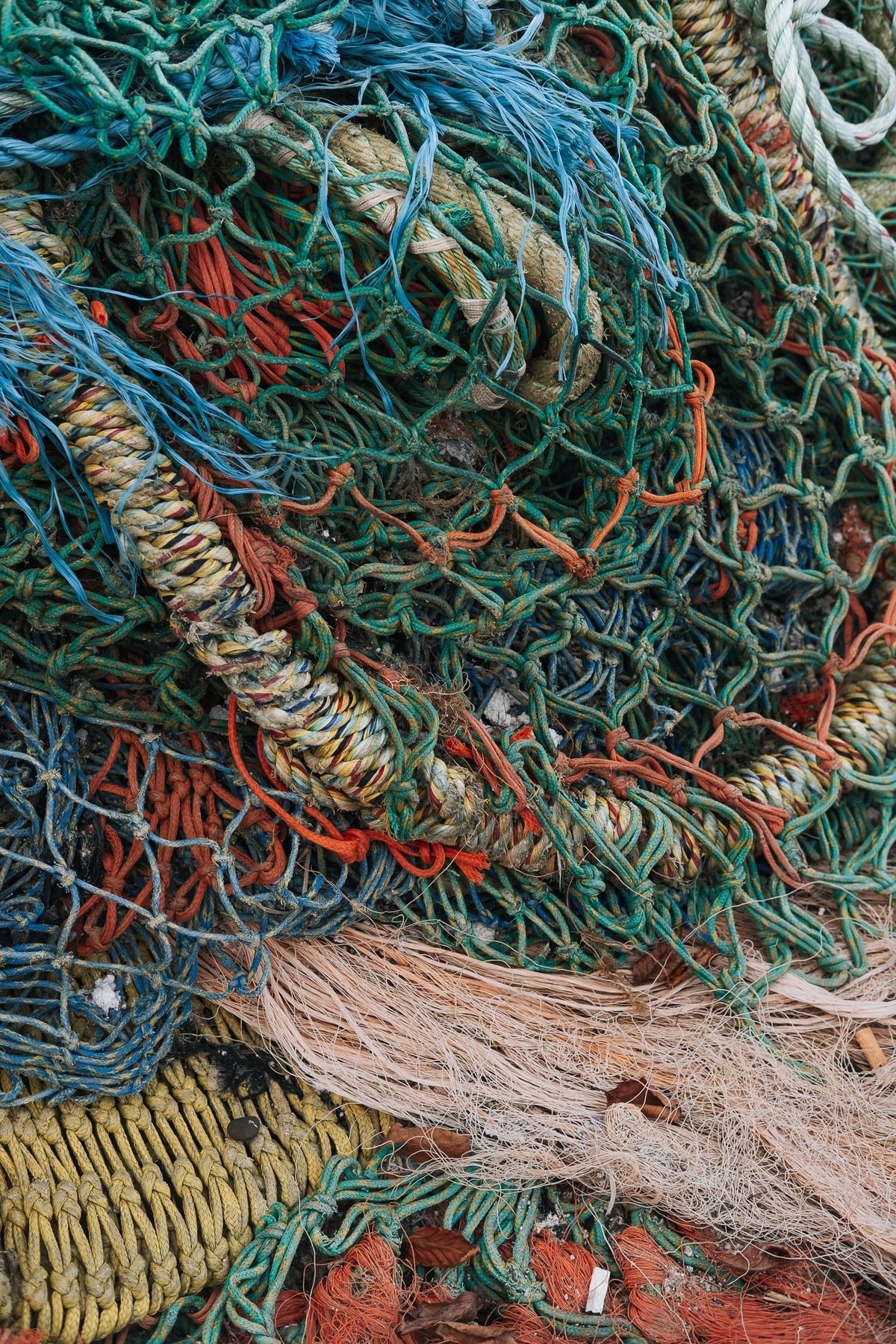 Net Study post thumbnail