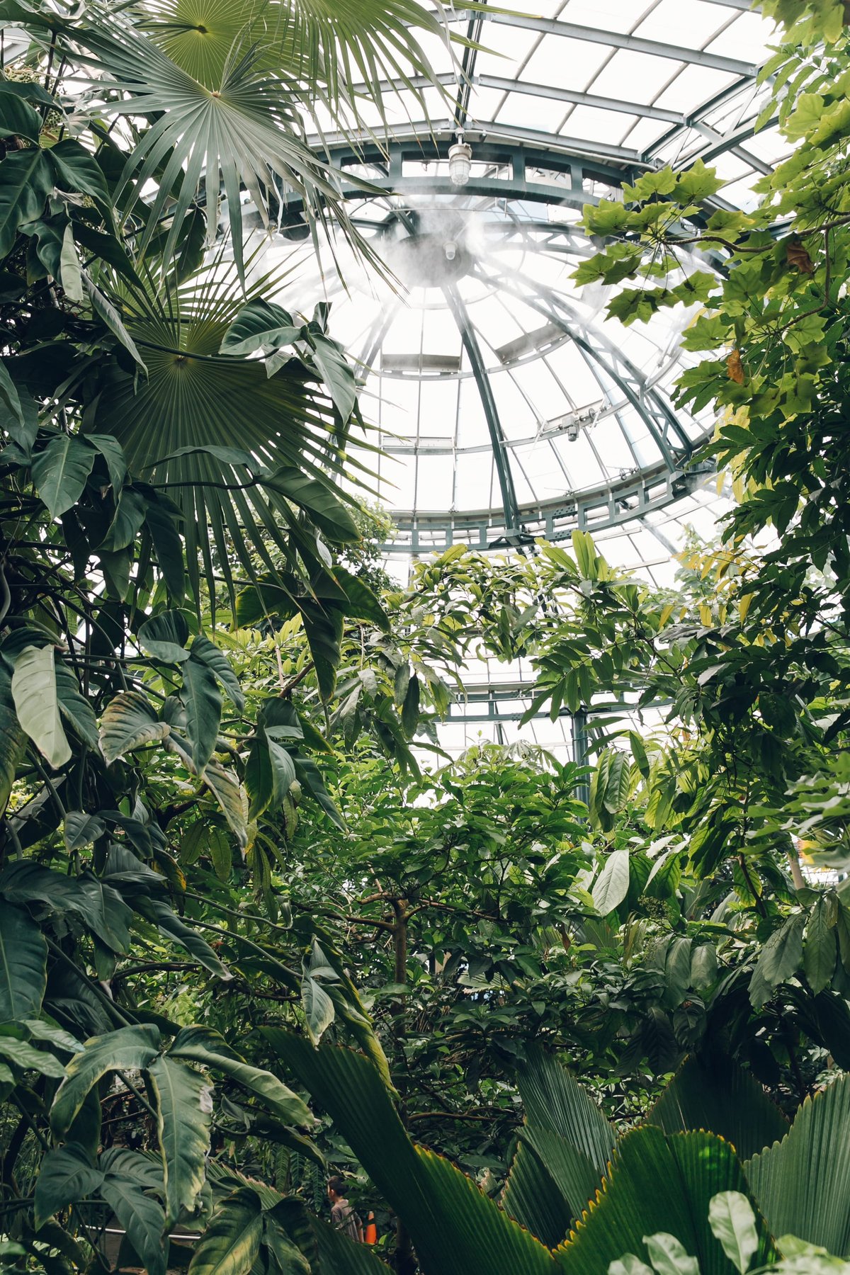 The Conservatory at The Huntington post thumbnail