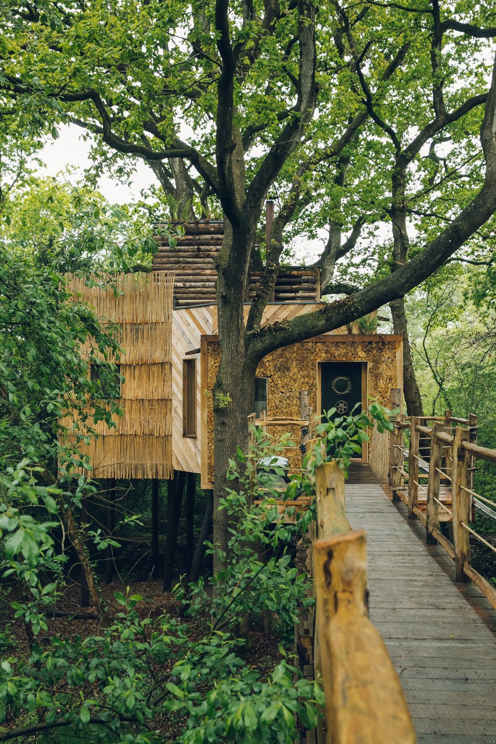 Inside a Luxury Treehouse post thumbnail