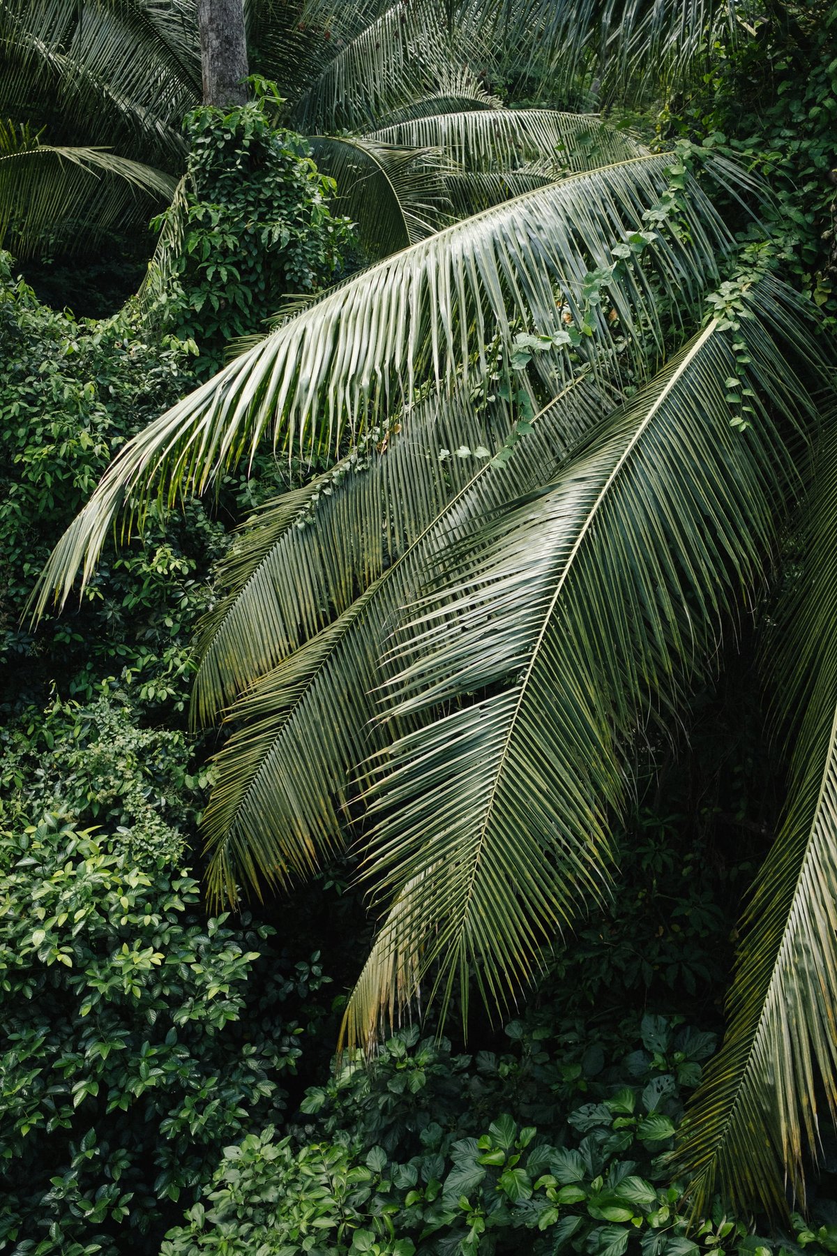Henderson Waves & the Southern Ridges post thumbnail