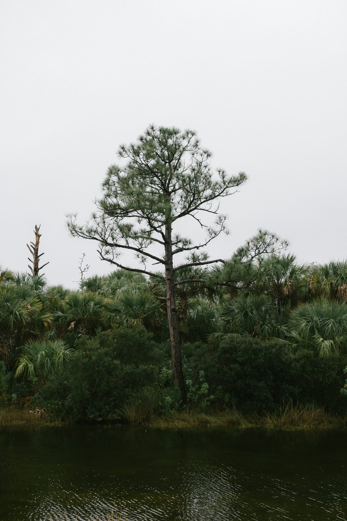 Black Point Wildlife Drive post thumbnail