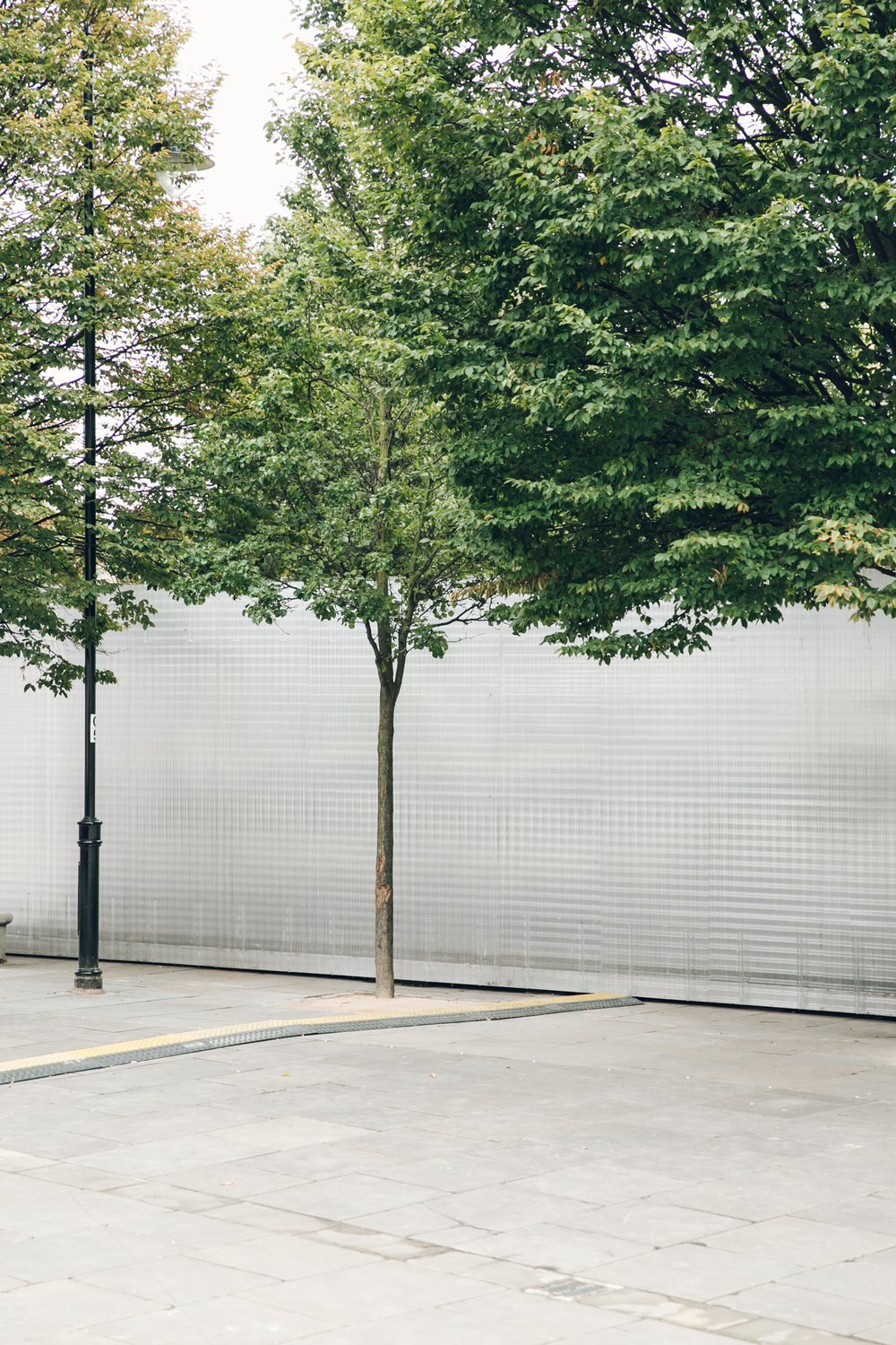 Asif Khan's Forest at London Design Festival post thumbnail
