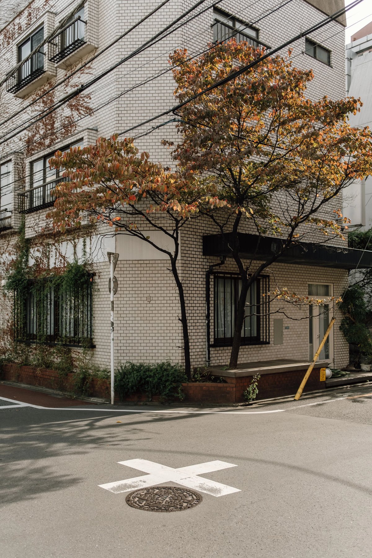 Signs of Autumn post thumbnail