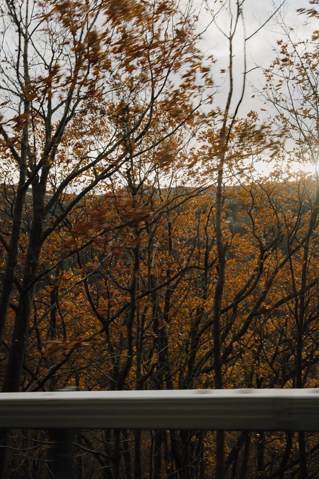 Magic Mountains in Hunter NY post thumbnail