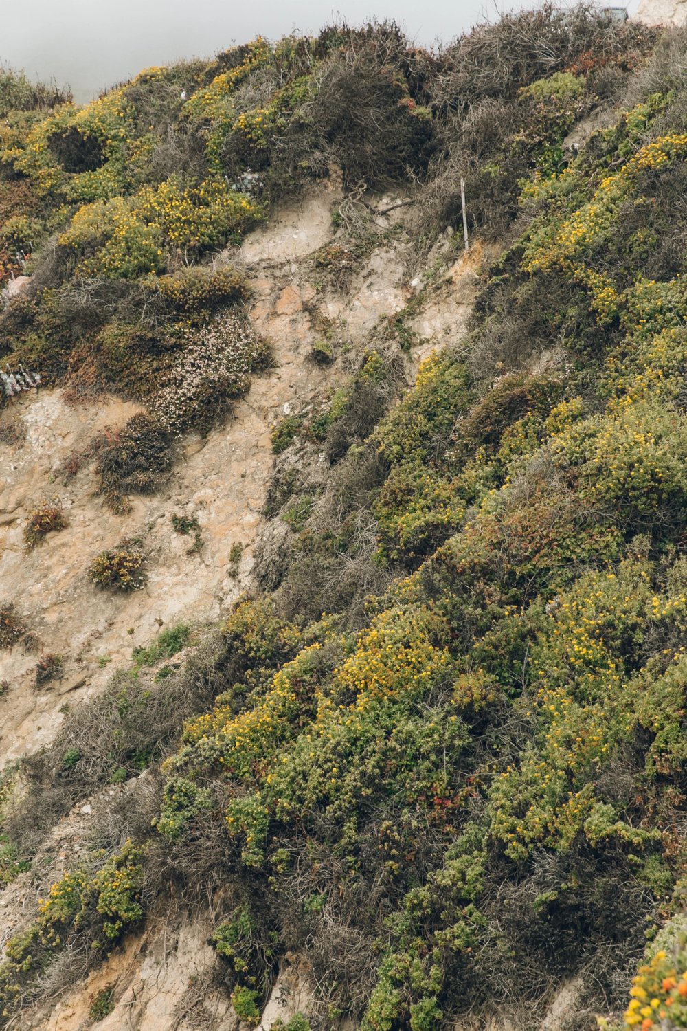 Big Sur post thumbnail