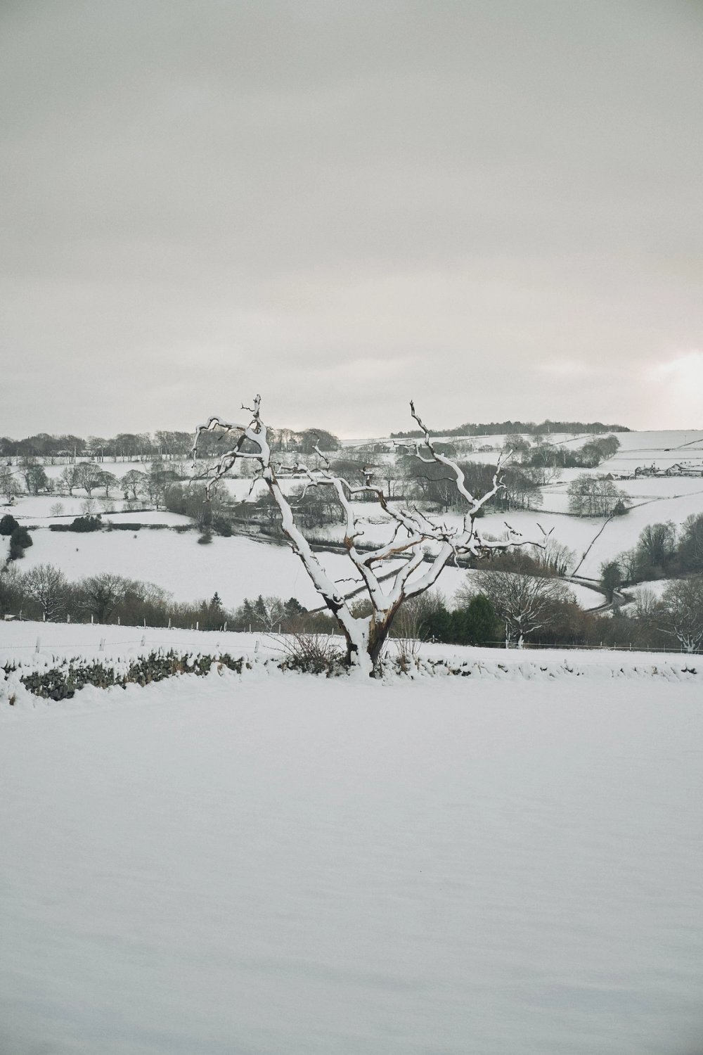 Snow Scenes post thumbnail