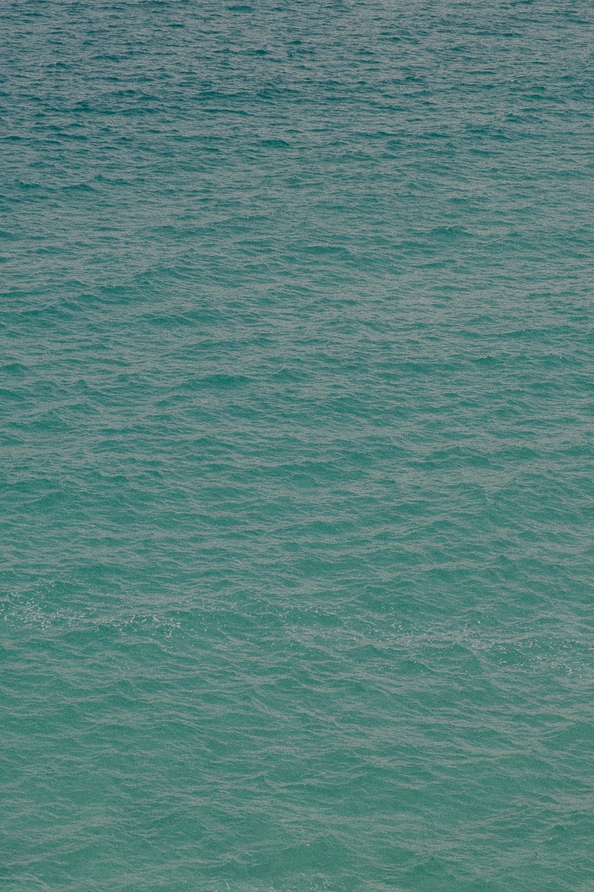 Trevose Head Blues post thumbnail