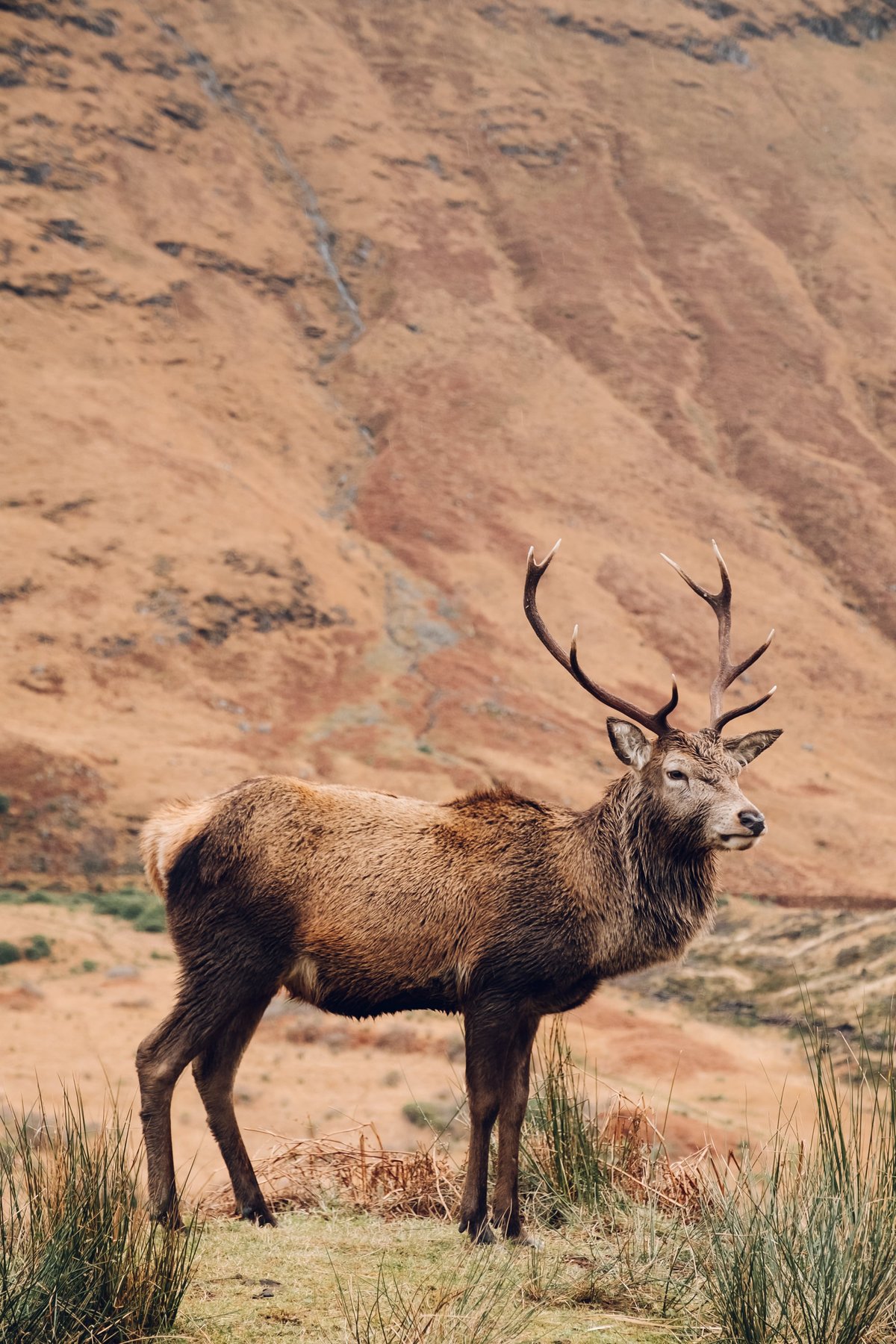 Drive through Glen Etive post thumbnail
