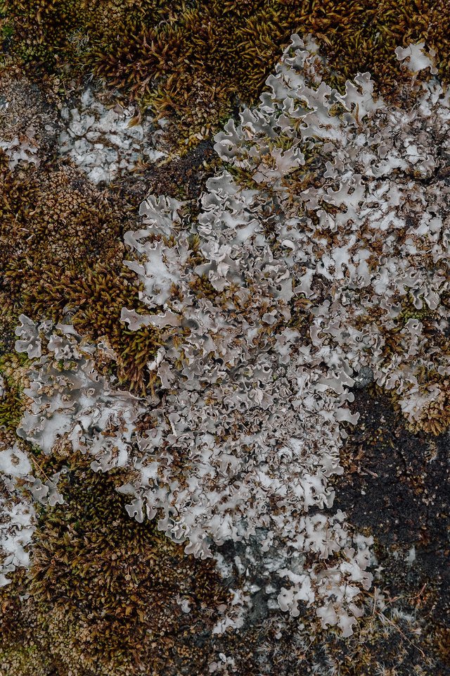 Postcards from Scotland post thumbnail