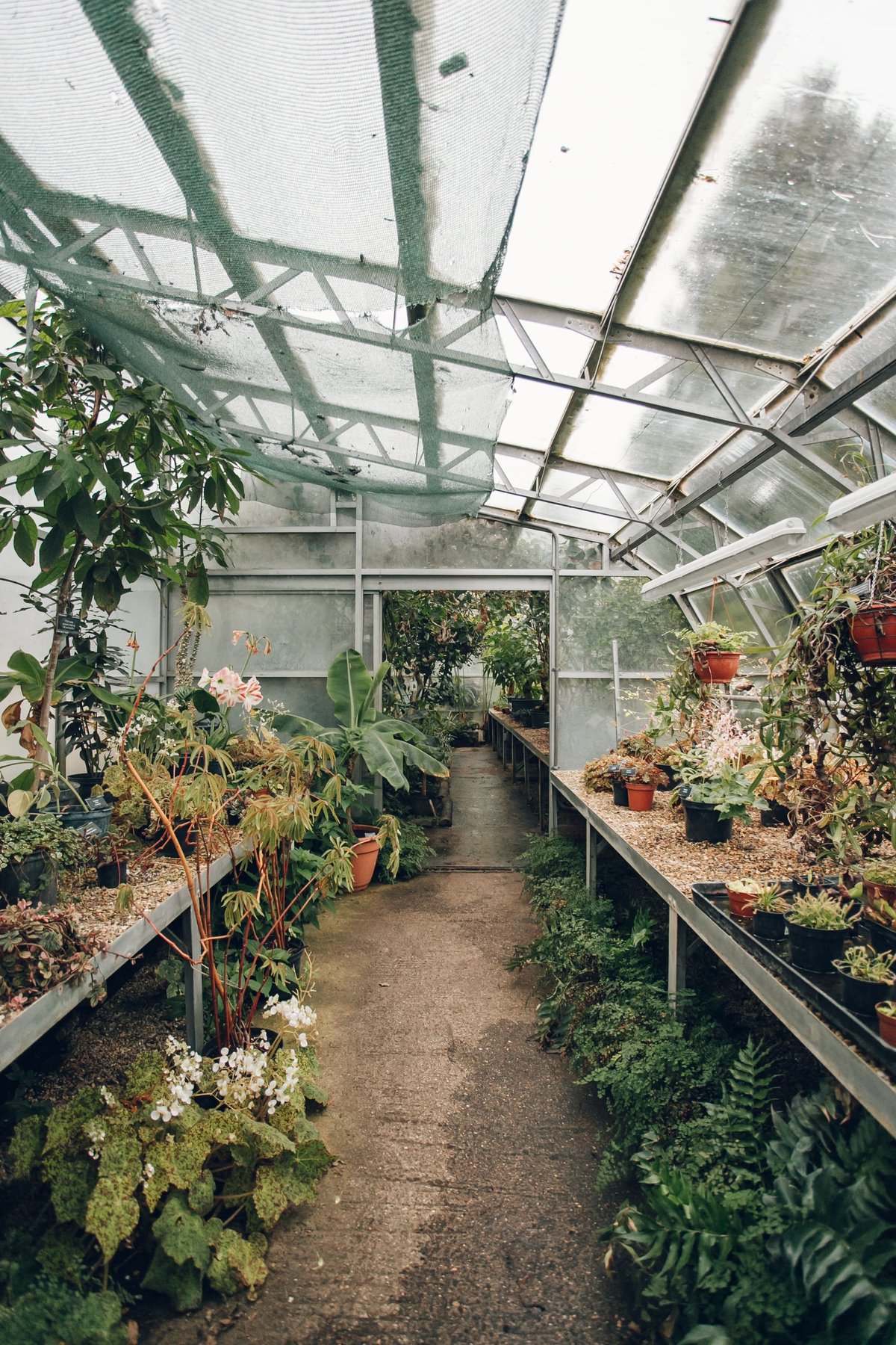 Leicester Botanic Garden post thumbnail