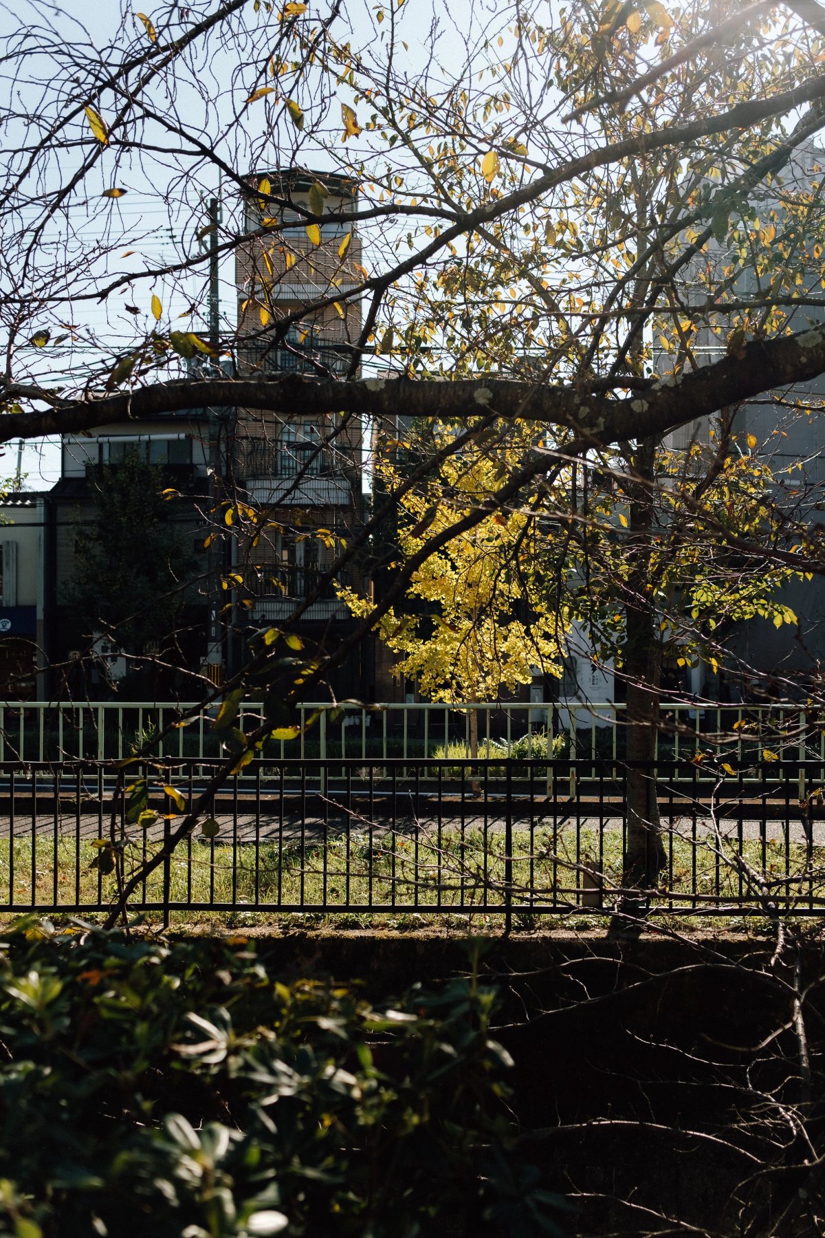 The Philosopher's Path post thumbnail