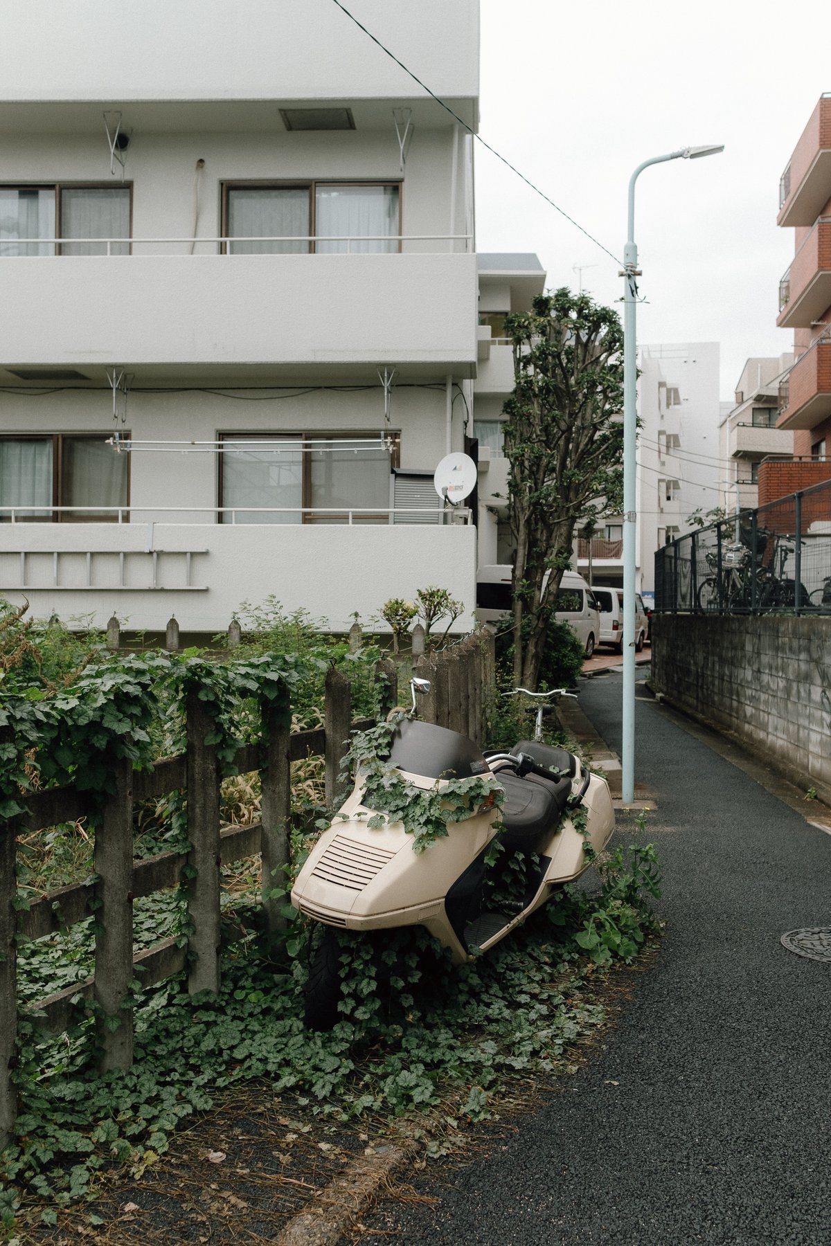 Tokyo Honda Garden post thumbnail