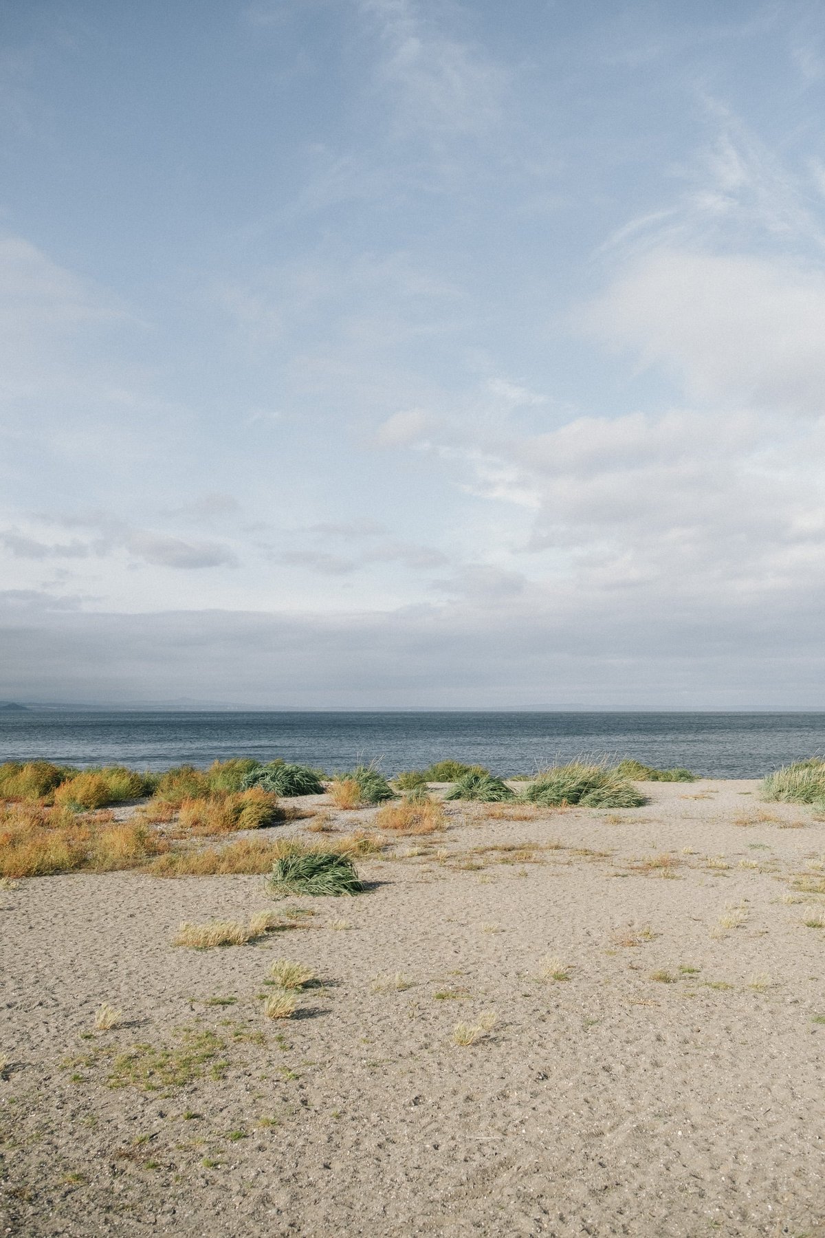 Musselburgh post thumbnail