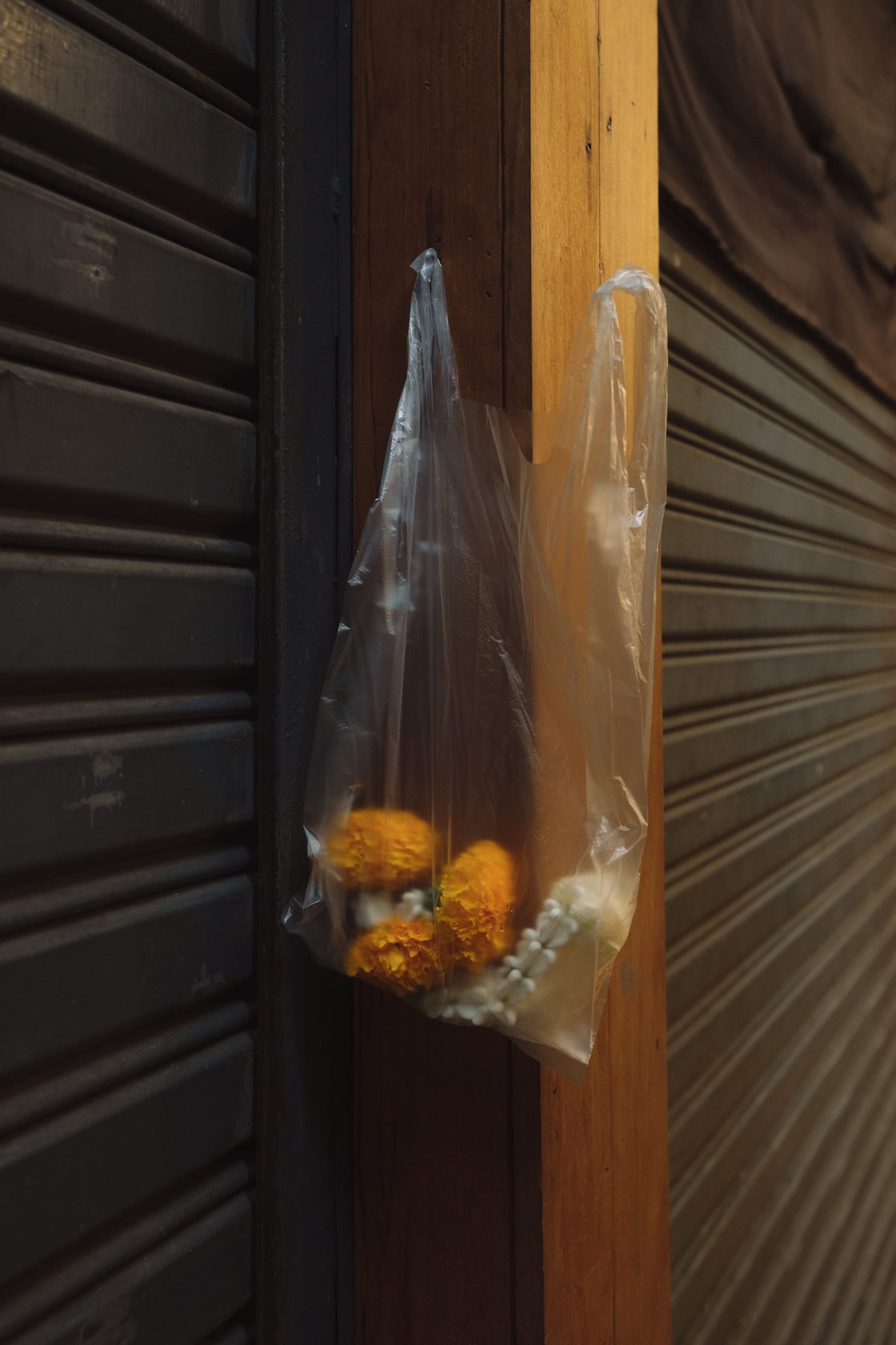 Marigolds post thumbnail