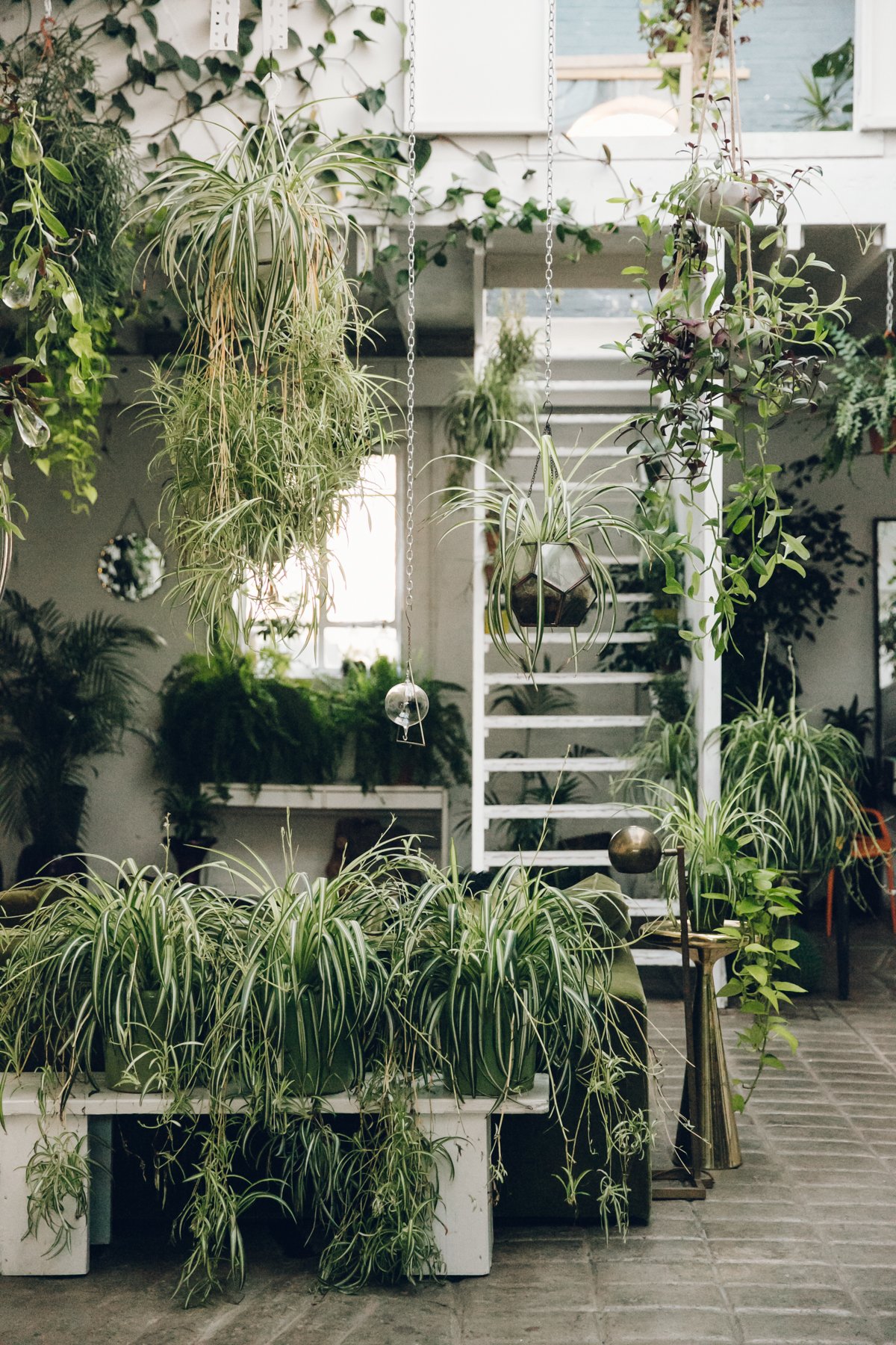 Inside Clapton Tram post thumbnail