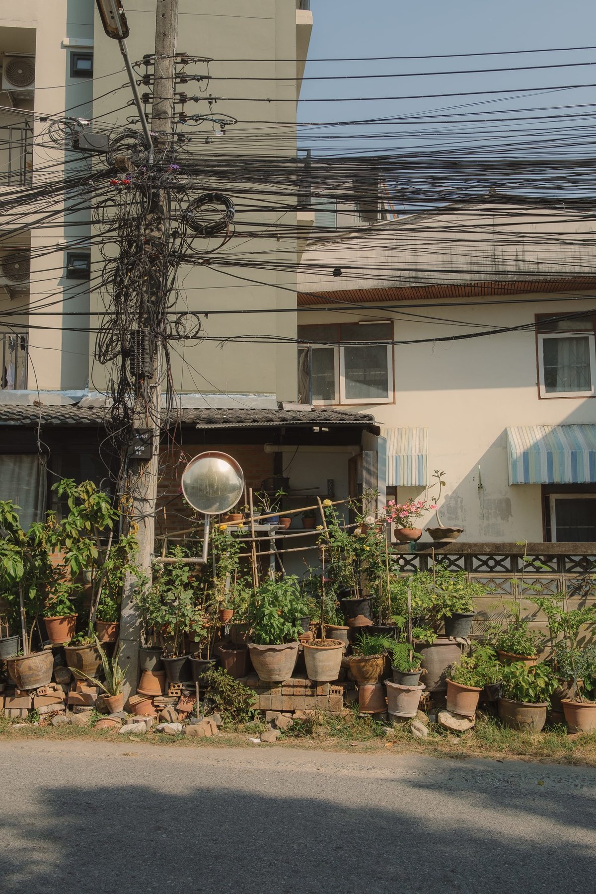 Street Gardens in Chiang Mai post thumbnail
