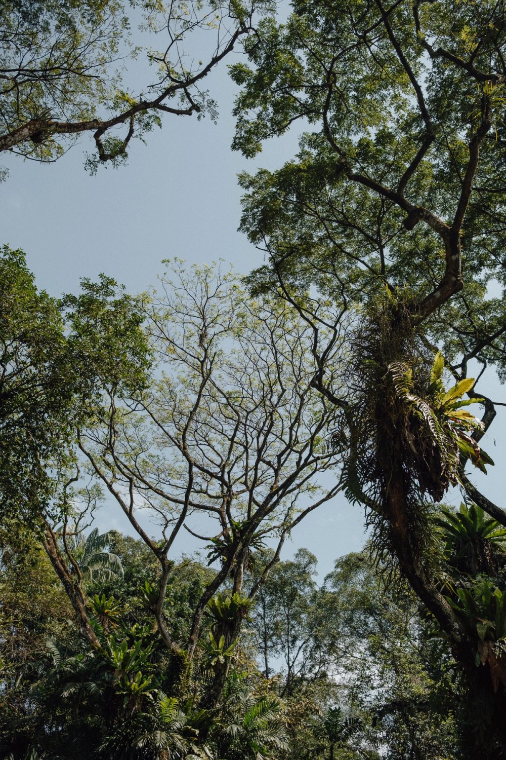 Sungei Buloh Wetland Reserve post thumbnail