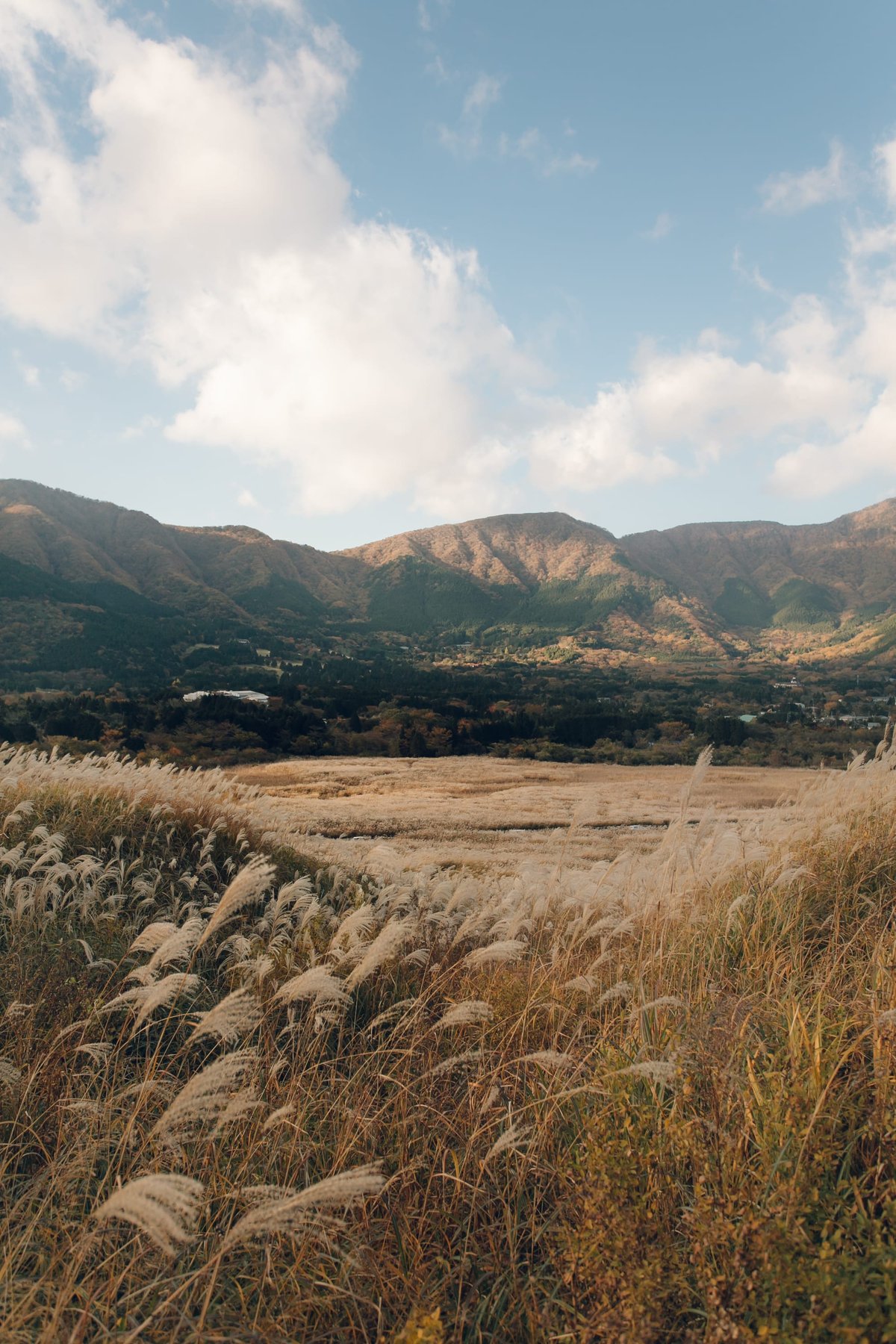 Sengokuhara post thumbnail