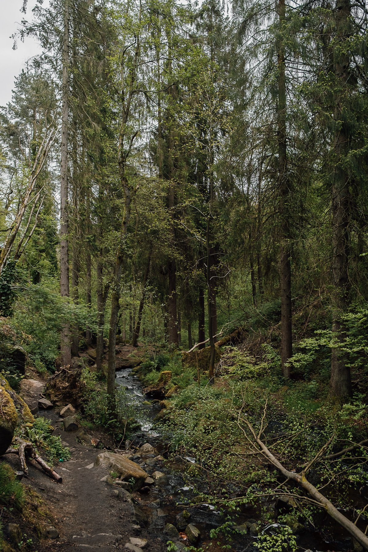 Wyming Brook in Spring post thumbnail